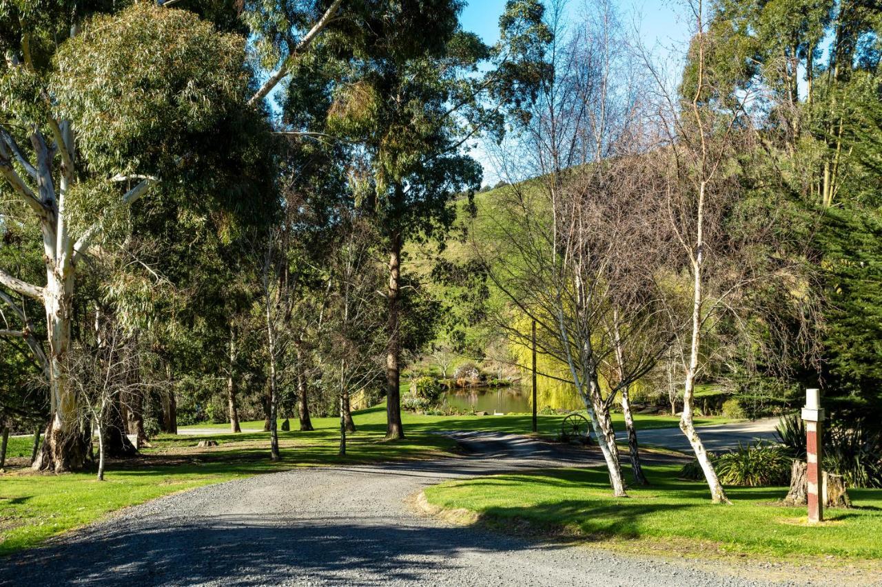 Silver Peaks Lodge Mosgiel Ngoại thất bức ảnh
